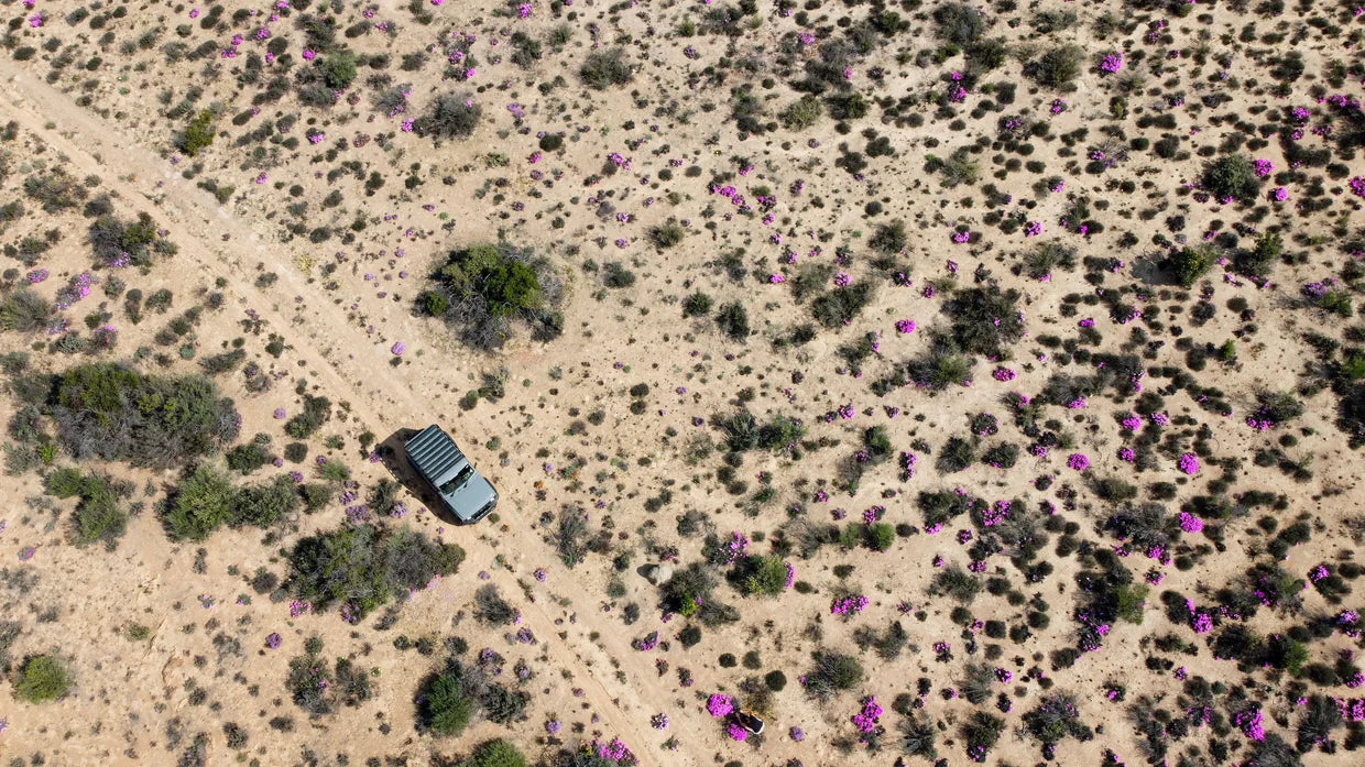 Gear Up for Adventure: Explore the Wilderness with TNT Transfer Case