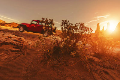 Unlock the Power With in: Why Every Arizona Off-Roader Needs a Custom Transfer Case