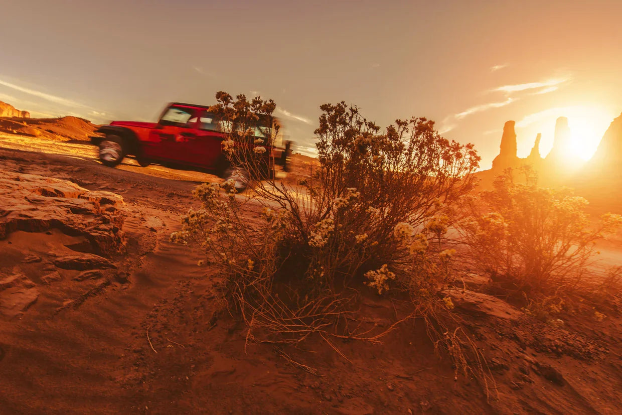 Unlock the Power With in: Why Every Arizona Off-Roader Needs a Custom Transfer Case